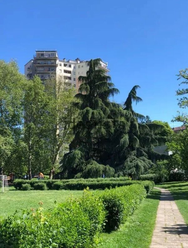 appartamento in affitto a Milano in zona Famagosta