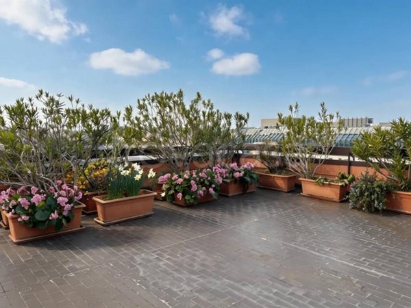 appartamento in affitto a Milano in zona Brera