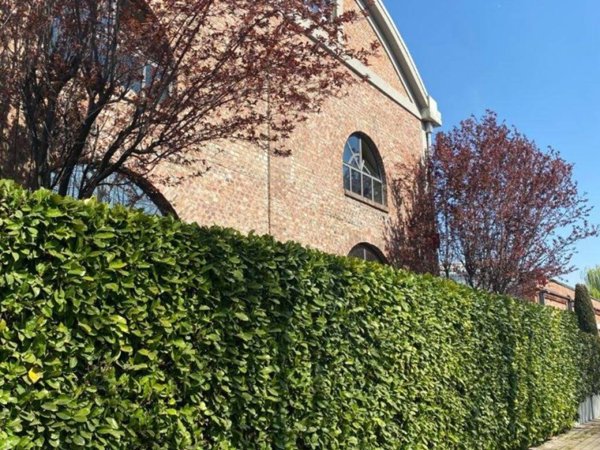 ufficio in affitto a Milano in zona Famagosta