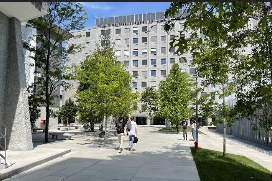 appartamento in affitto a Milano in zona Città Studi