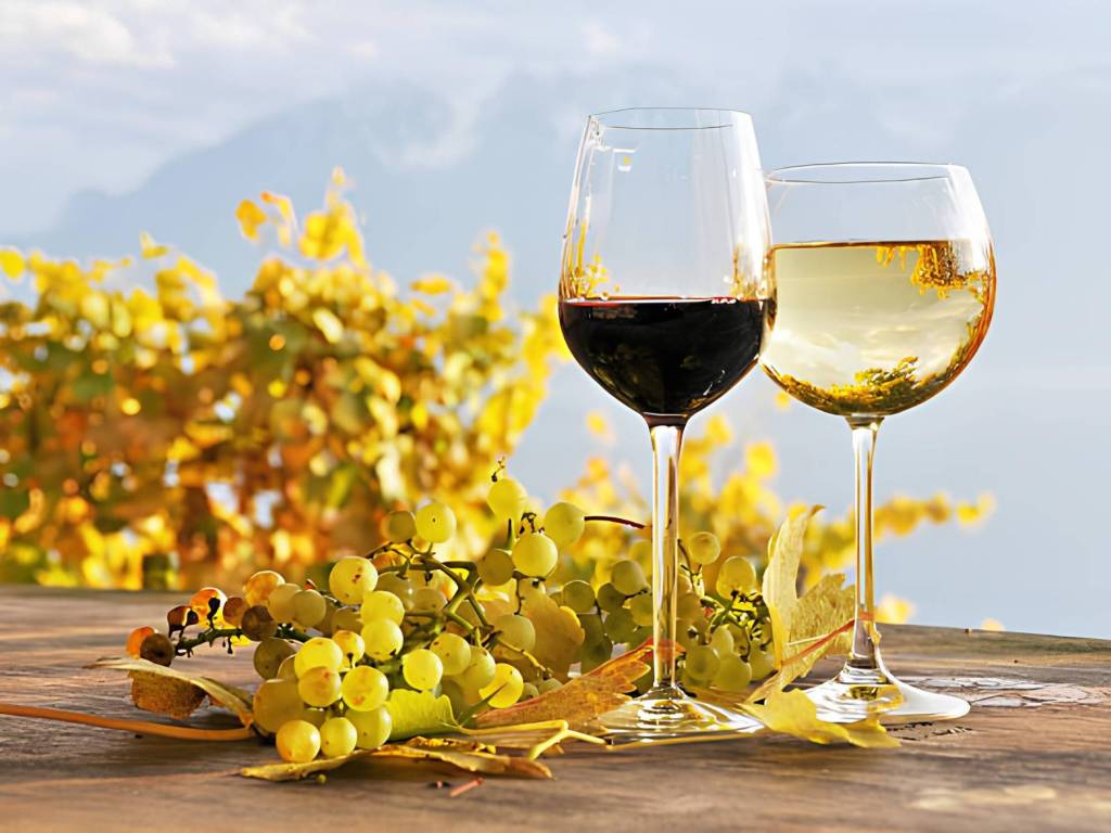 negozio in affitto a Milano in zona Isola