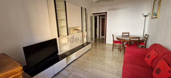 appartamento in affitto a Milano in zona Città Studi
