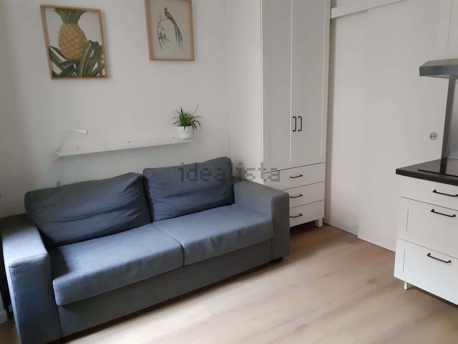 monolocale in affitto a Milano in zona Turro