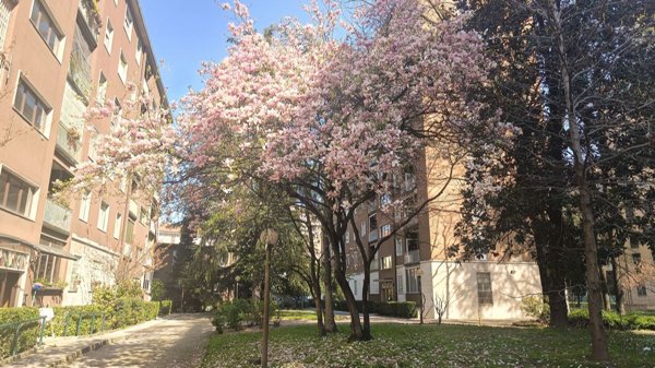 appartamento in affitto a Milano in zona Bocconi