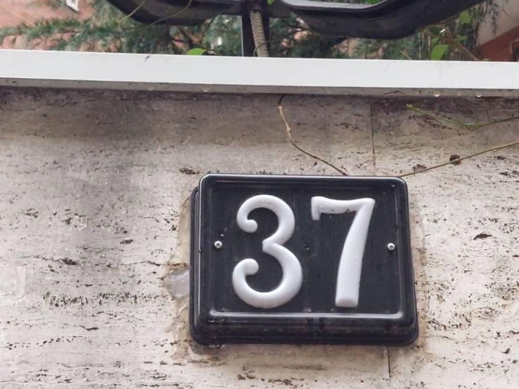 appartamento in affitto a Milano in zona Sempione