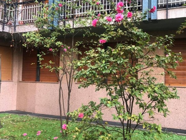 appartamento in affitto a Milano in zona Porta Vittoria