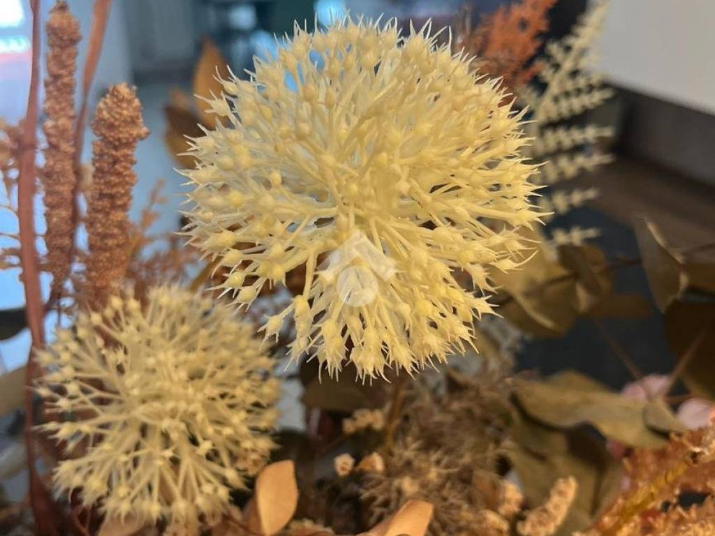 appartamento in affitto a Milano in zona Famagosta