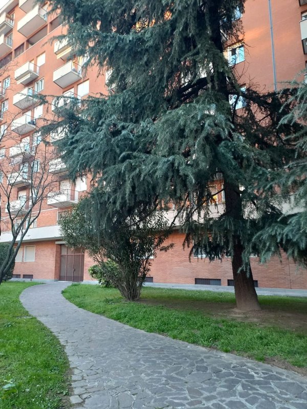 appartamento in affitto a Milano in zona QT8