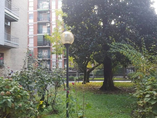 appartamento in affitto a Milano in zona Calvairate