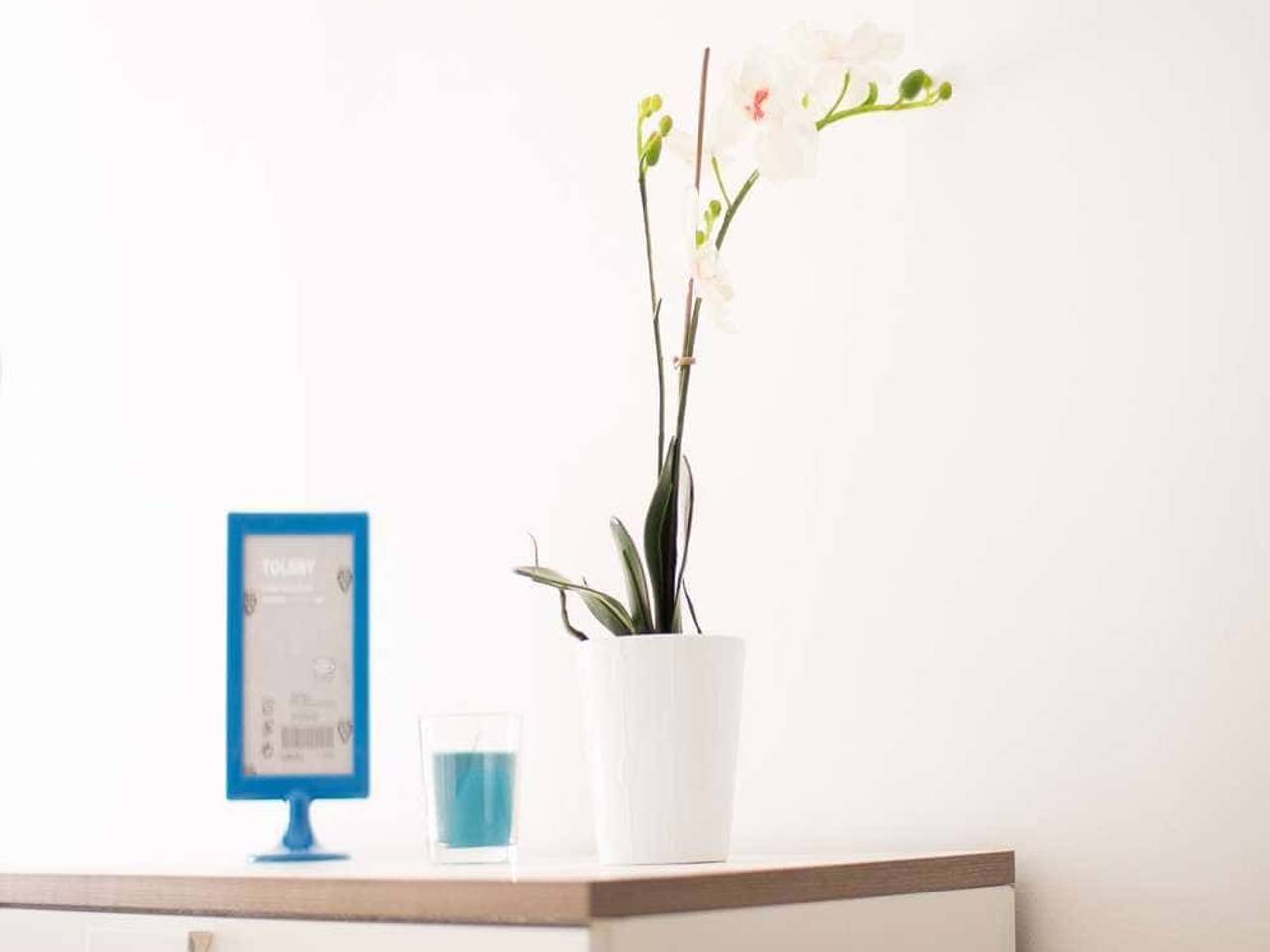 negozio in affitto a Milano in zona Sempione