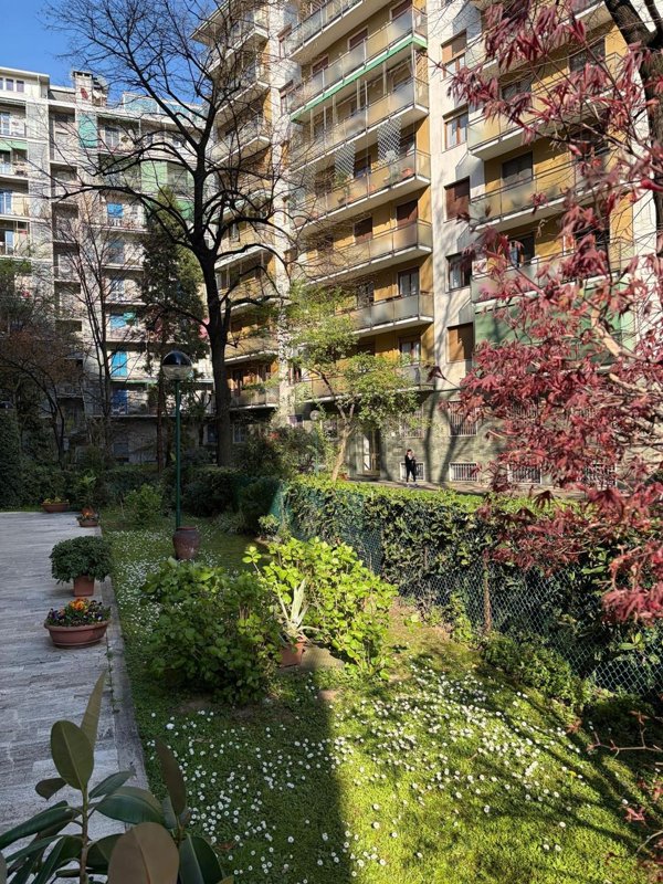 appartamento in affitto a Milano in zona Maggiolina