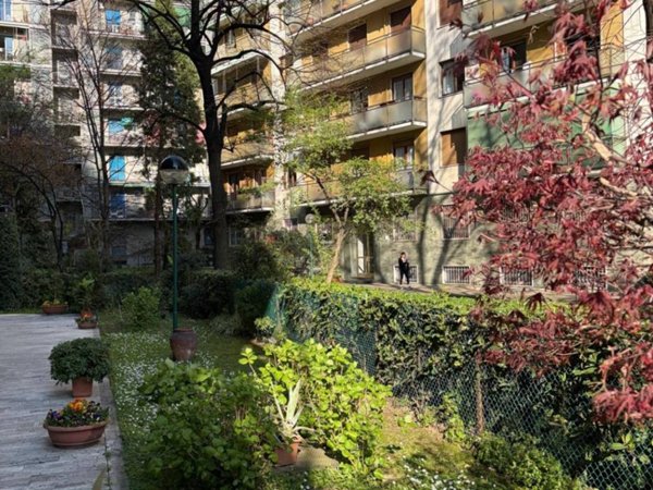 appartamento in affitto a Milano in zona Maggiolina