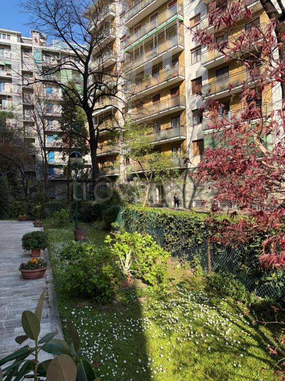 appartamento in affitto a Milano in zona Maggiolina