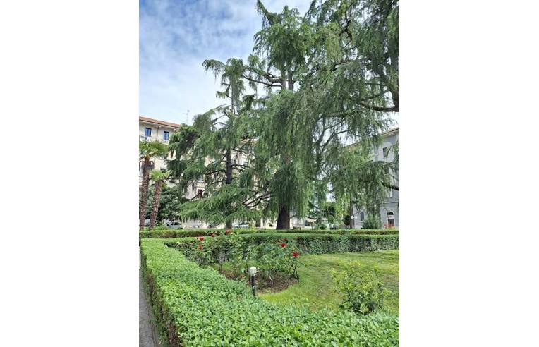 appartamento in affitto a Milano in zona Città Studi