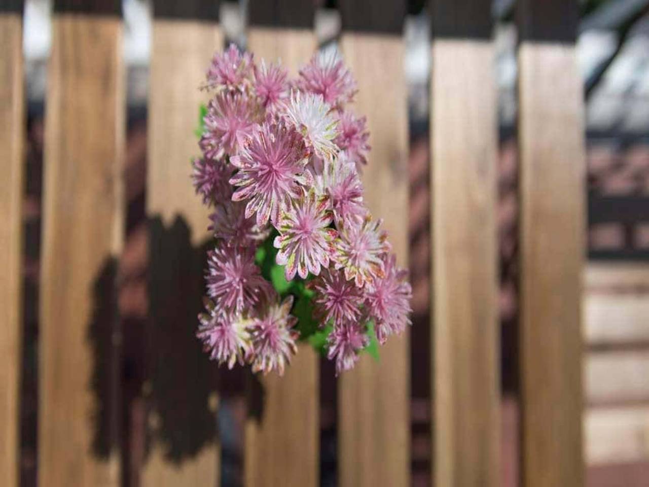 negozio in affitto a Milano in zona Bicocca