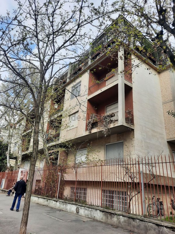 appartamento in affitto a Milano in zona Città Studi