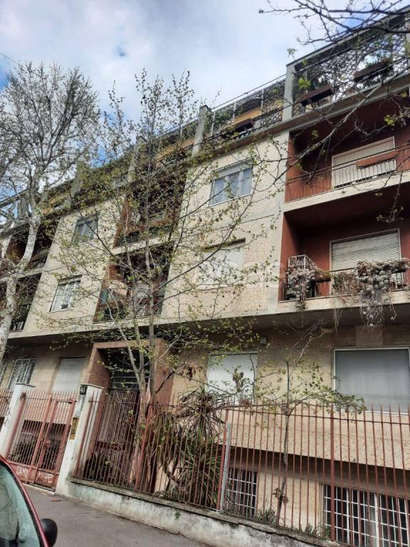 appartamento in affitto a Milano in zona Città Studi