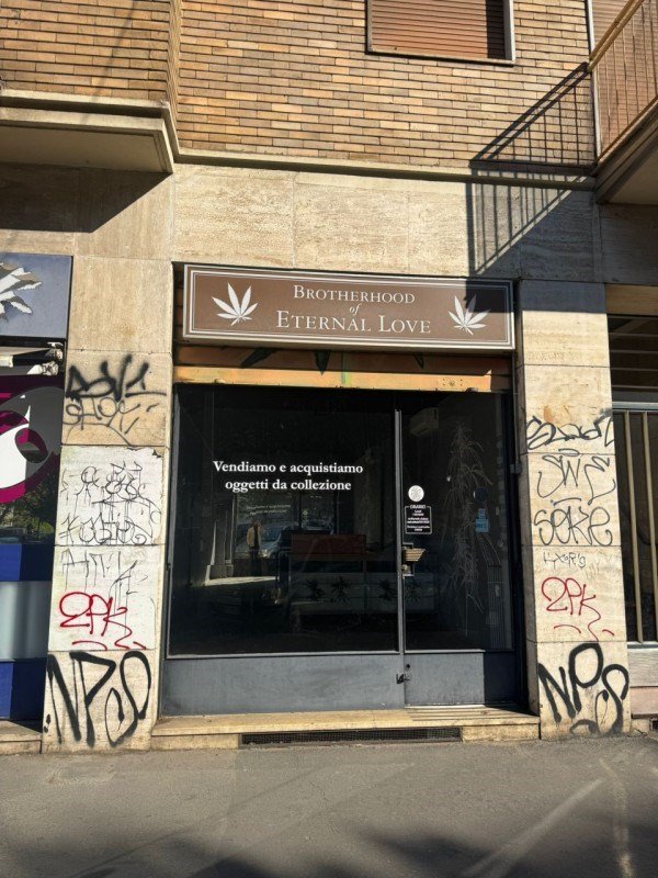 negozio in affitto a Milano in zona Città Studi