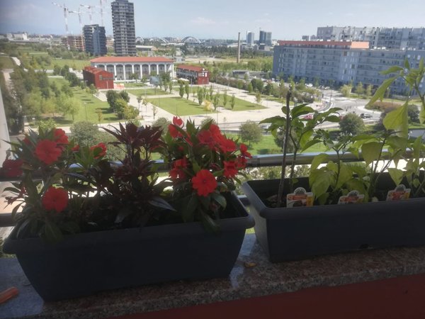 appartamento in affitto a Milano in zona Gallaratese