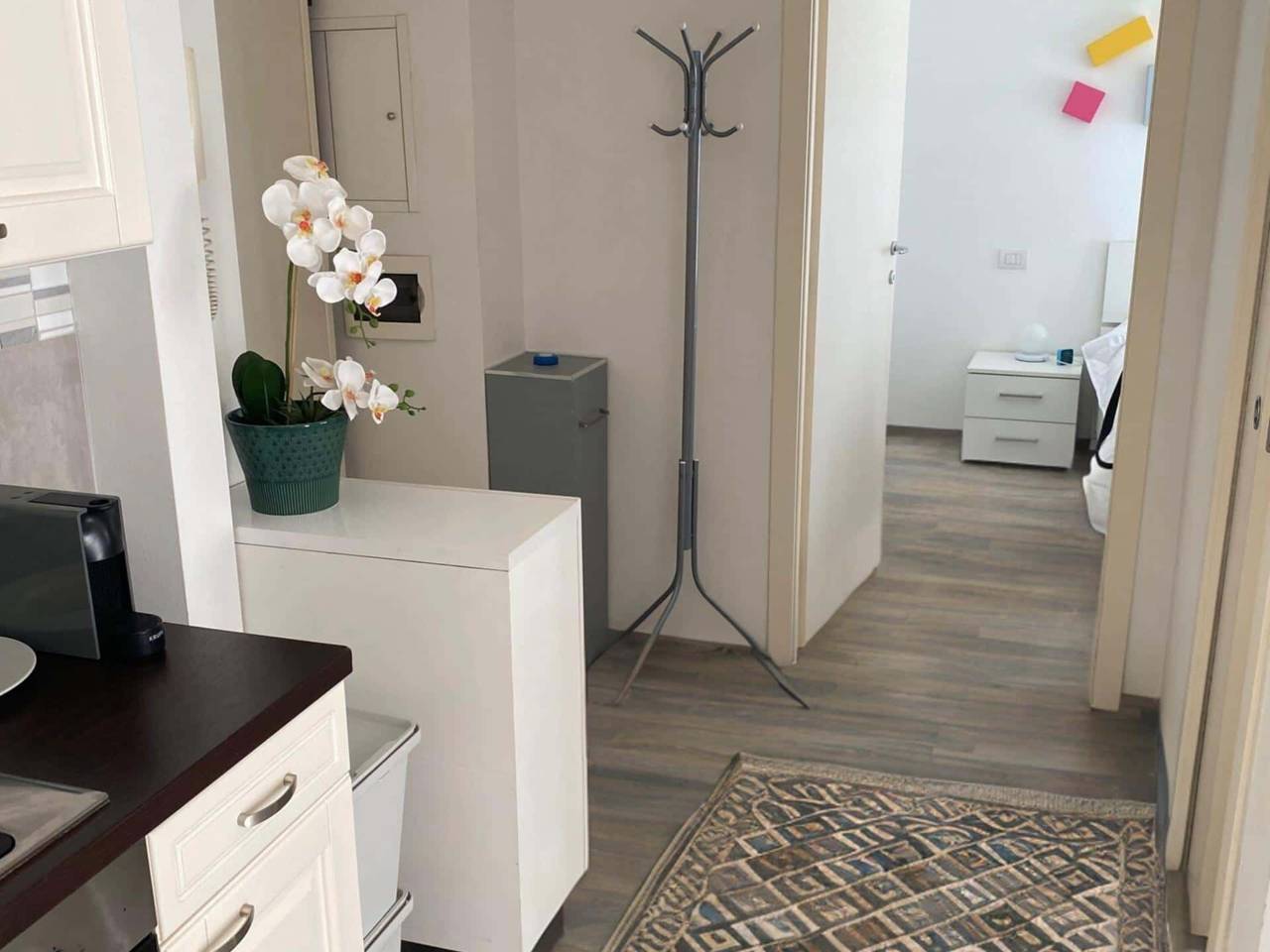 appartamento in affitto a Milano in zona Città Studi