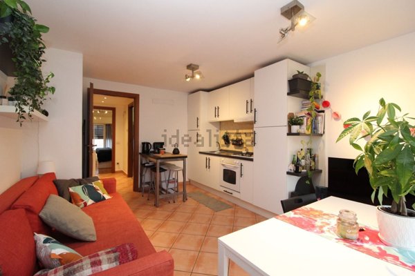 appartamento in affitto a Milano in zona Città Studi