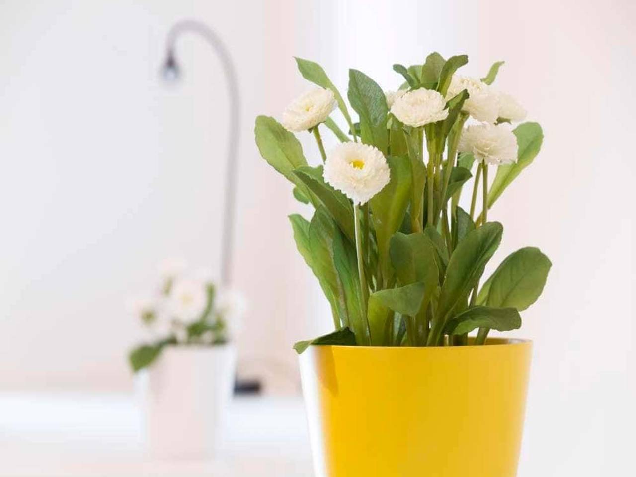 negozio in affitto a Milano in zona Morivione