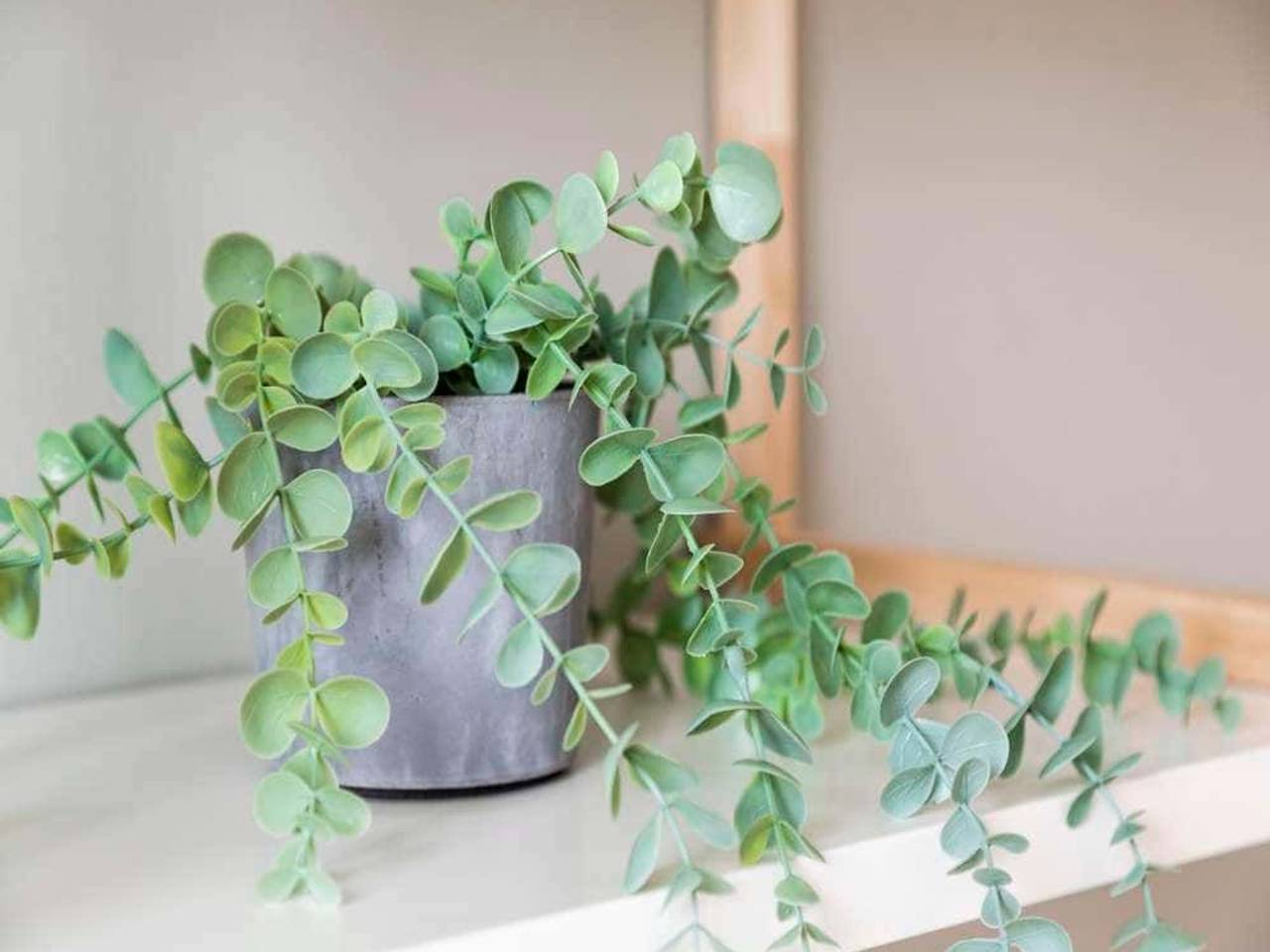 negozio in affitto a Milano in zona Piazzale Lodi