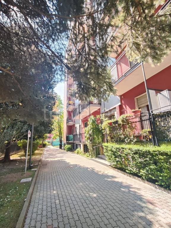 appartamento in affitto a Milano in zona Corvetto