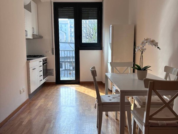 appartamento in affitto a Milano in zona Città Studi