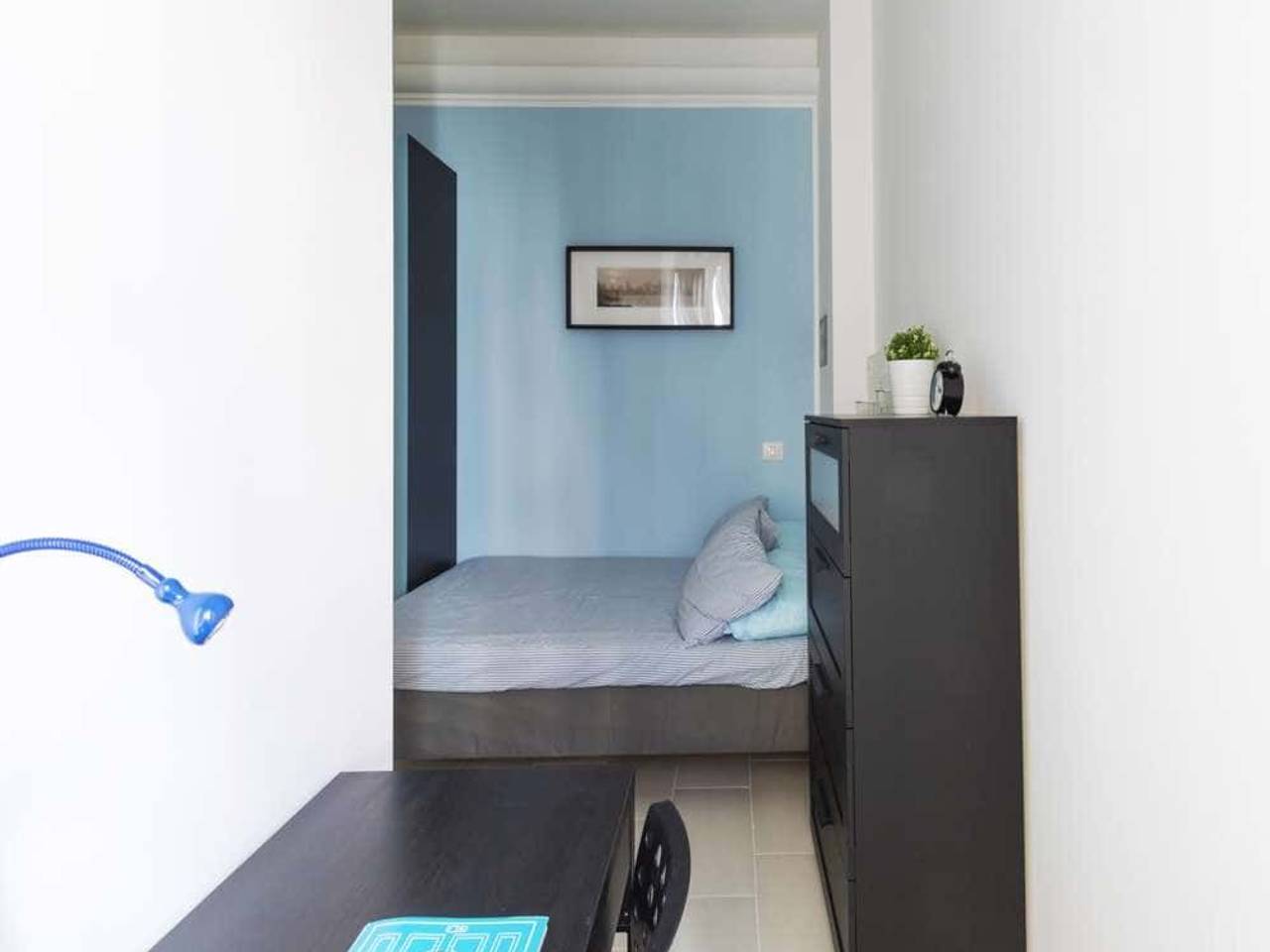 negozio in affitto a Milano in zona Calvairate