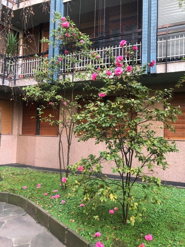 appartamento in affitto a Milano in zona Porta Vittoria