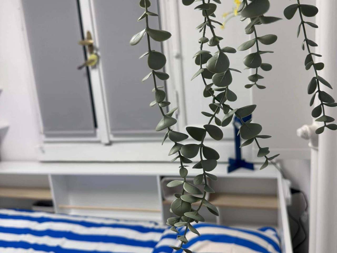 appartamento in affitto a Milano in zona Città Studi