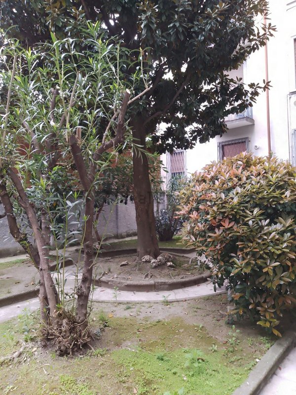 appartamento in affitto a Milano in zona San Vittore