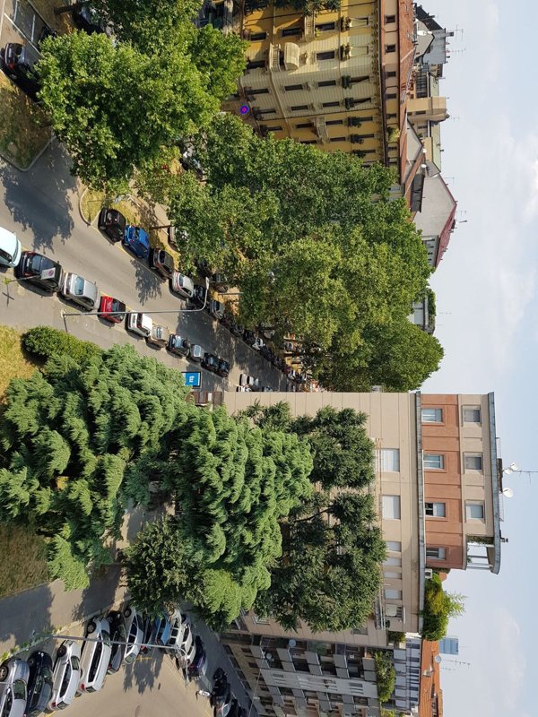appartamento in affitto a Milano in zona Solari