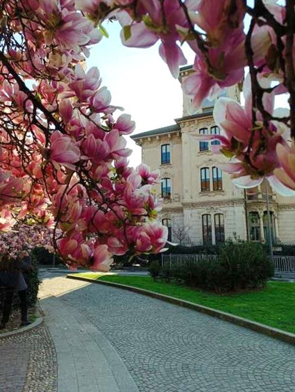 appartamento in affitto a Milano in zona Isola