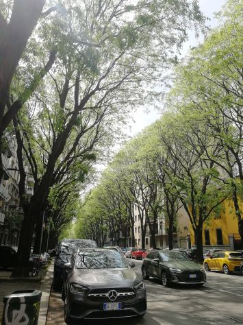 camera singola in affitto a Milano in zona Porta Venezia
