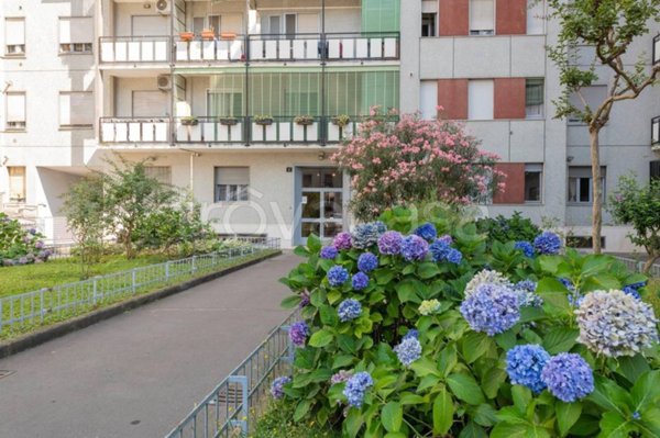 appartamento in affitto a Milano in zona Corvetto