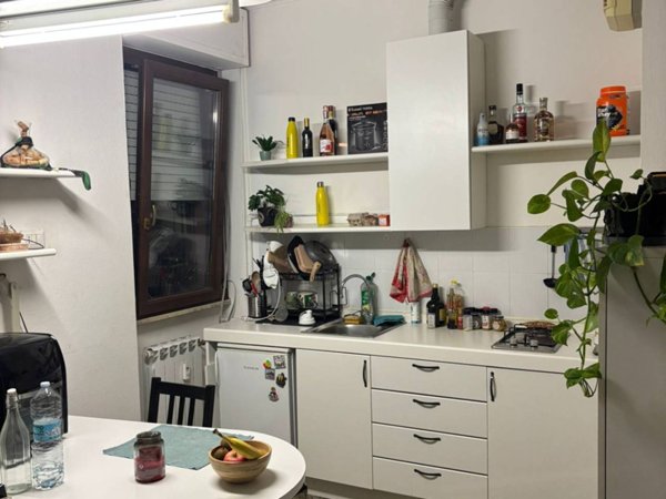 appartamento in affitto a Milano in zona Città Studi