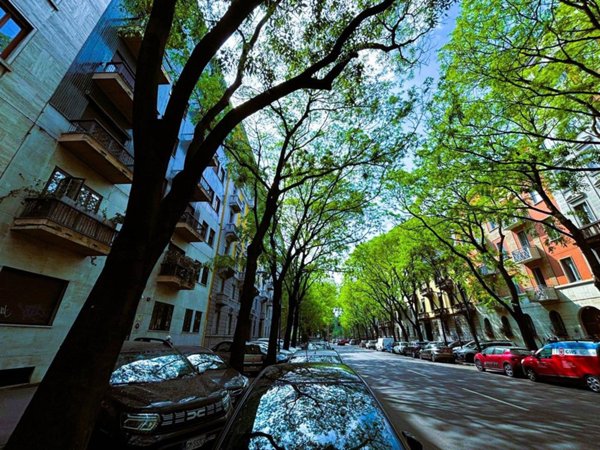 appartamento in affitto a Milano in zona Città Studi