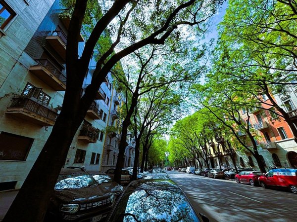 appartamento in affitto a Milano in zona Città Studi