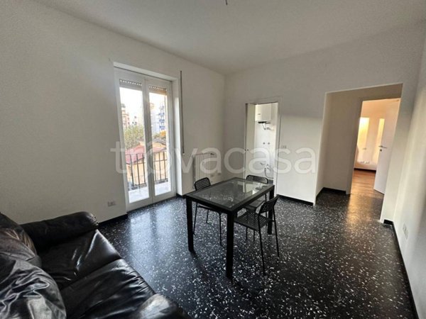 appartamento in affitto a Milano in zona Città Studi