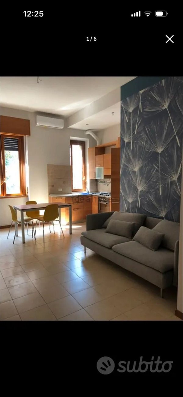appartamento in affitto a Milano in zona Città Studi