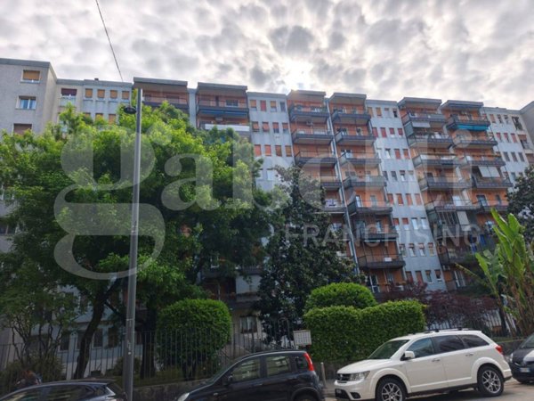 appartamento in affitto a Milano in zona Città Studi