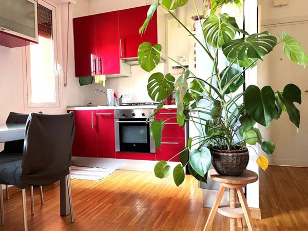 appartamento in affitto a Milano in zona Maggiolina