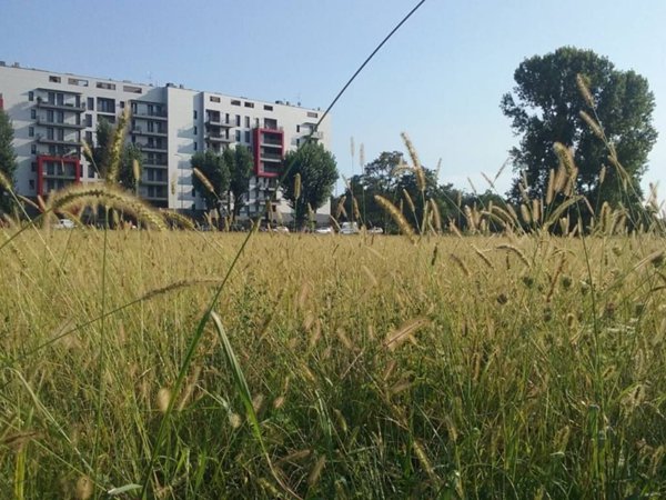 appartamento in affitto a Milano in zona Baggio