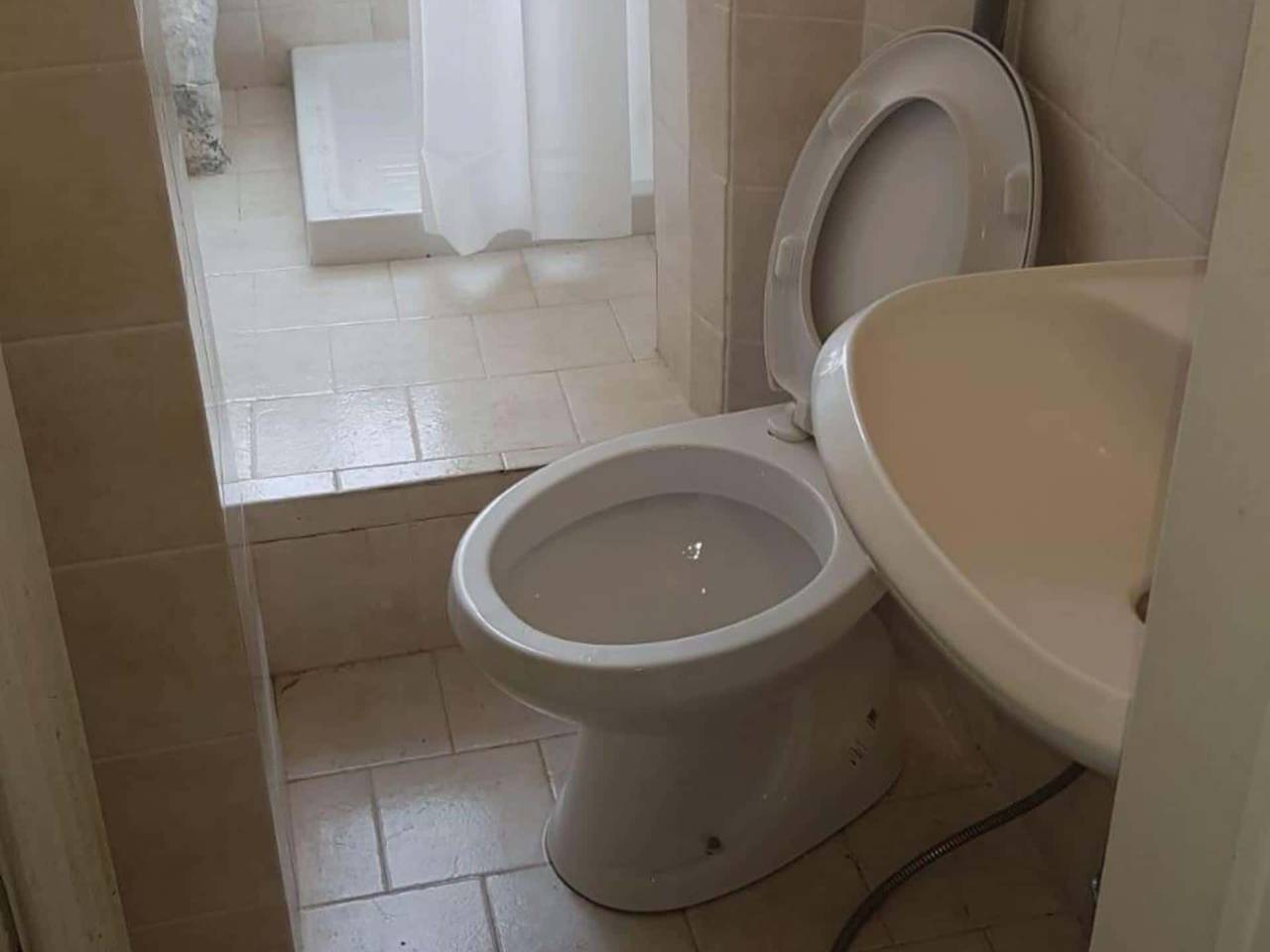 appartamento in affitto a Milano in zona Calvairate