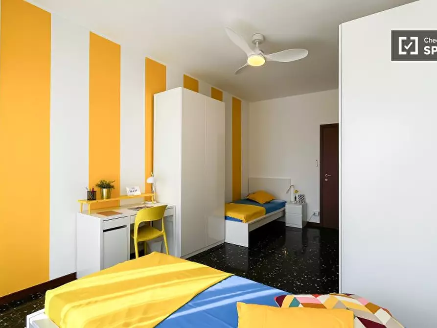 appartamento in affitto a Milano in zona Città Studi