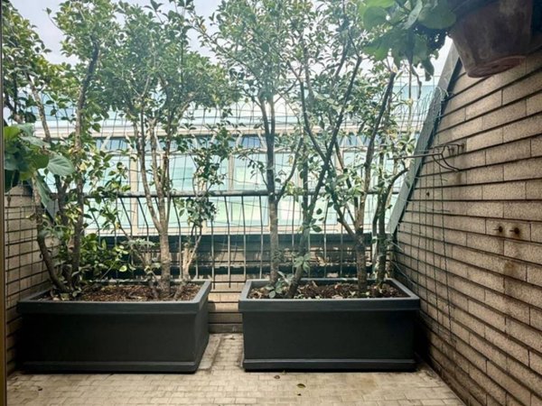 appartamento in affitto a Milano in zona Guastalla