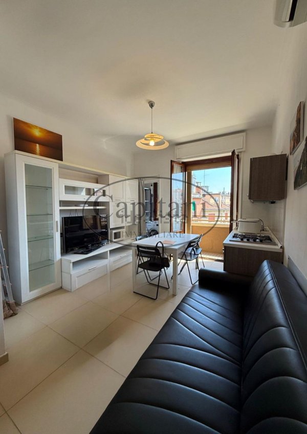 appartamento in affitto a Milano in zona Città Studi