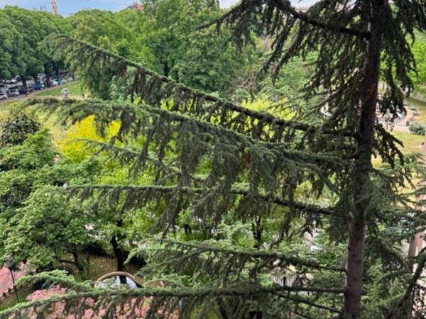 appartamento in affitto a Milano in zona Porta Romana